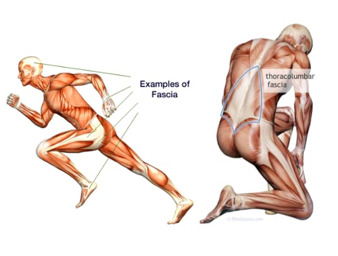 Fascial Health Optimization