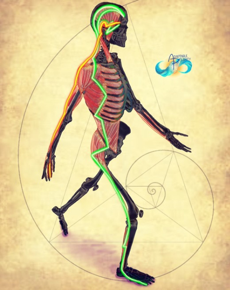 Deep Tissue Fascial Release